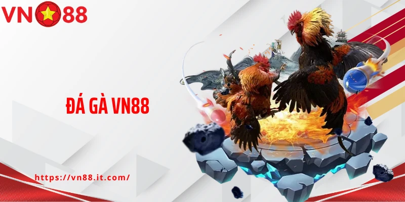 Đá Gà VN88: Sân Chơi Lý Tưởng Cho Các Tín Đồ Đam Mê Chọi Kê